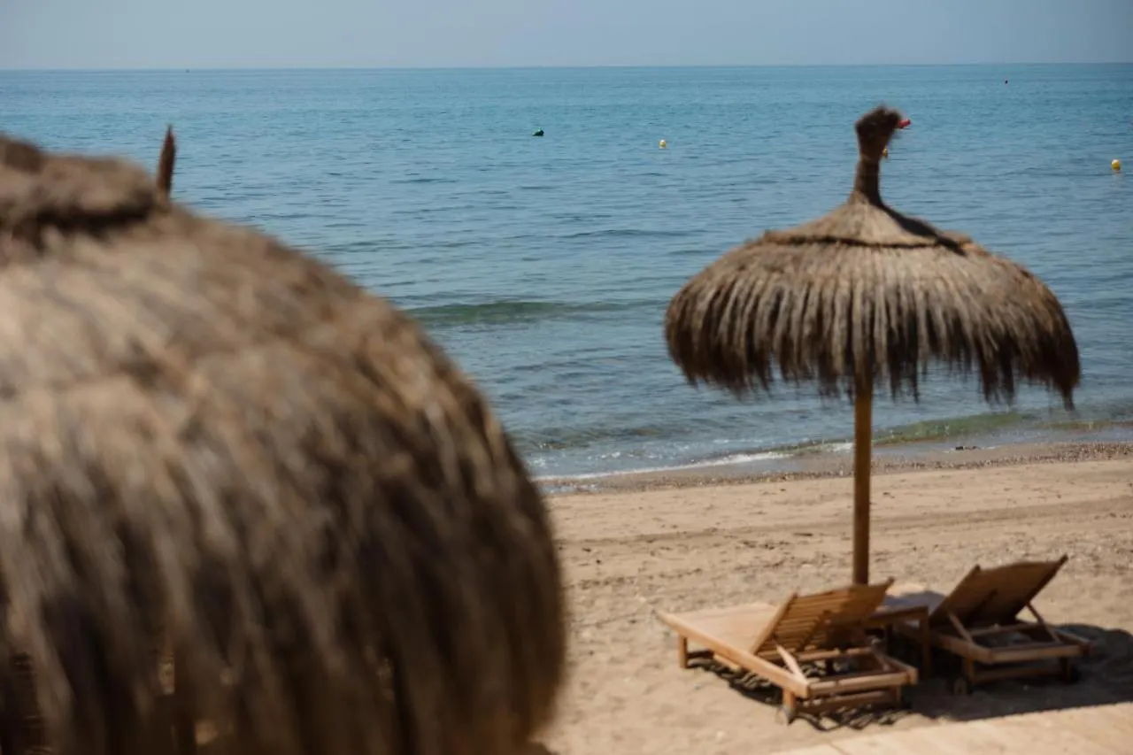 Apartment Vacation Home In The Best Location, With Terrace, Pool And Bbq, In Marbella Center Spain