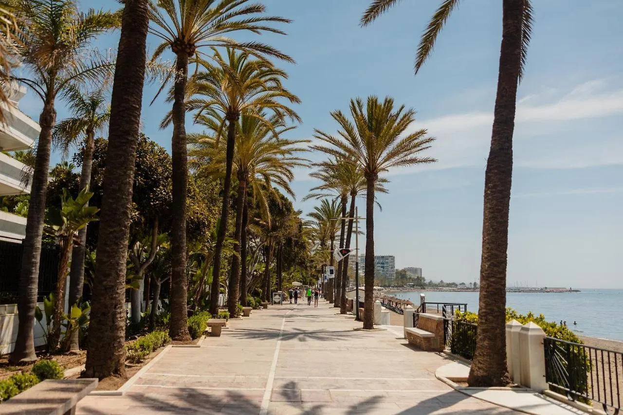 Apartment Vacation Home In The Best Location, With Terrace, Pool And Bbq, In Marbella Center