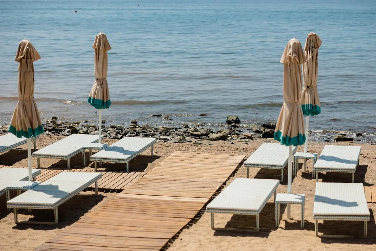 Apartment Vacation Home In The Best Location, With Terrace, Pool And Bbq, In Marbella Center Spain