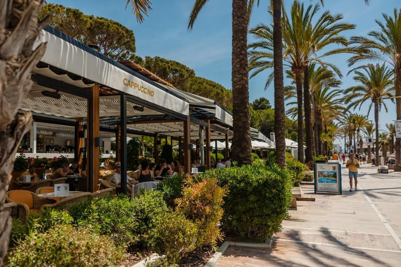 Vacation Home In The Best Location, With Terrace, Pool And Bbq, In Marbella Center 0*,  Spain