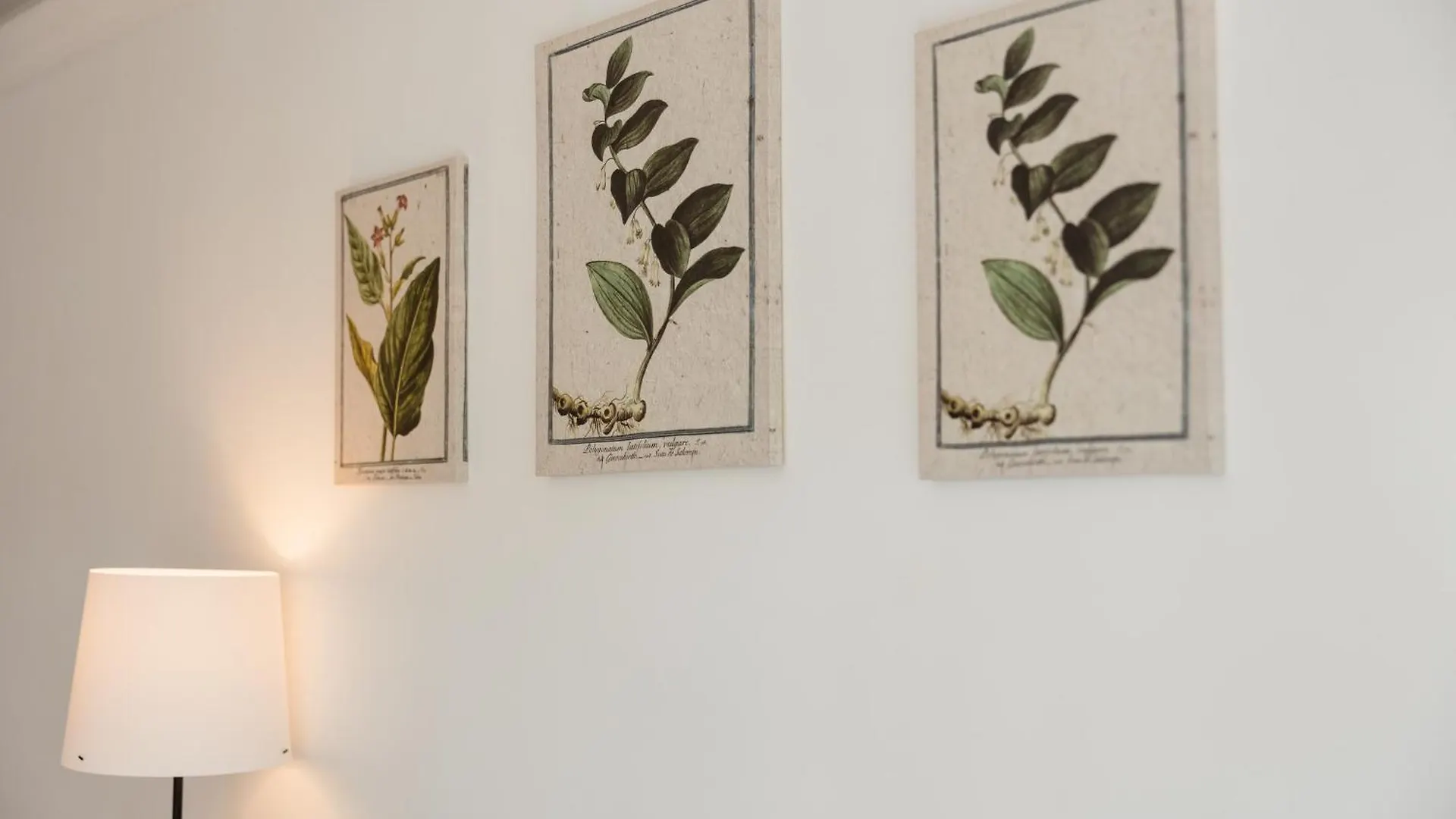 Vacation Home In The Best Location, With Terrace, Pool And Bbq, In Marbella Center 0*,