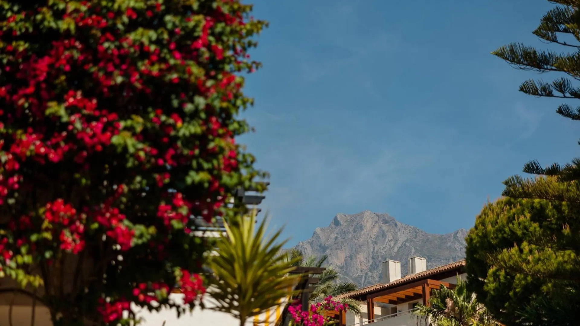Vacation Home In The Best Location, With Terrace, Pool And Bbq, In Marbella Center 0*,