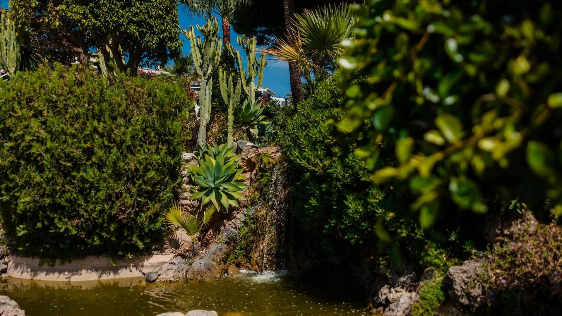 Apartment Vacation Home In The Best Location, With Terrace, Pool And Bbq, In Marbella Center